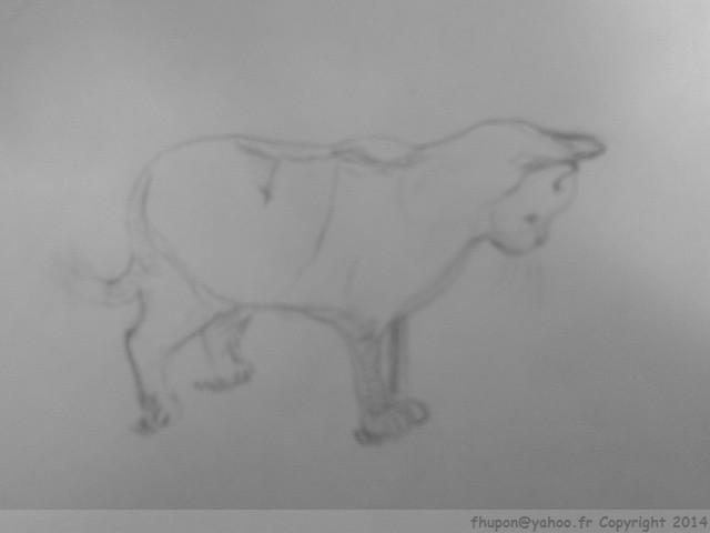 Photo d'un de mes dessins pour la Saatchi - 2013-05-05 - fhupon©2014